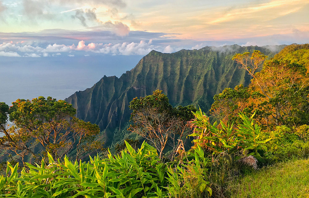 Kauai Style Vacations Kokee Kalalau valley lookout photo