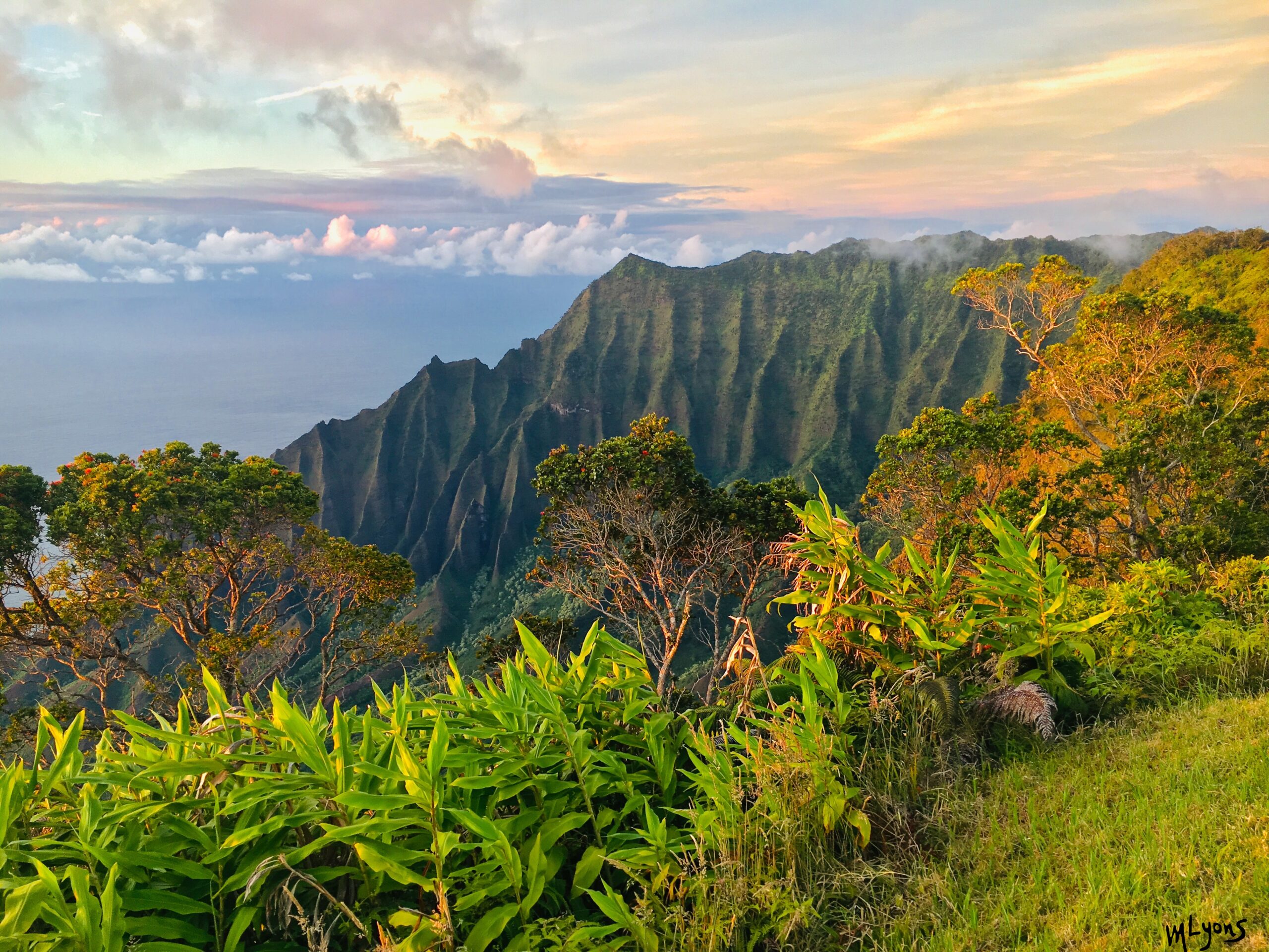 Waimea canyon @ Koke'e overlook Kauaistyle.com