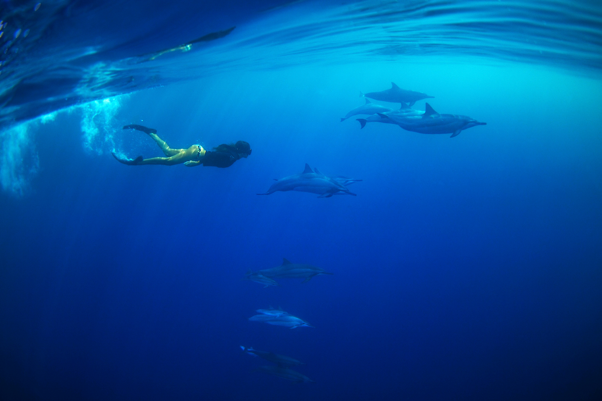 Snorkeling kauaistyle.com