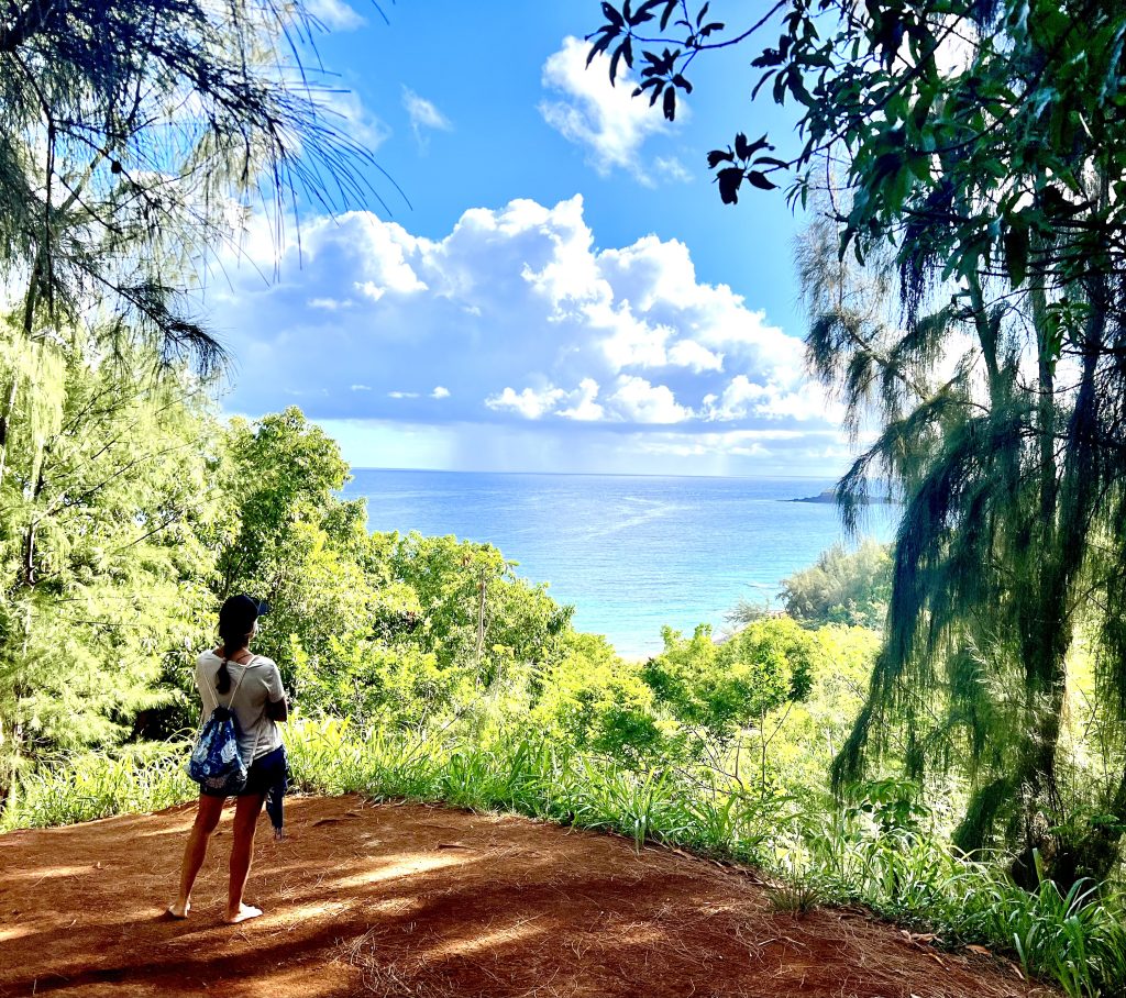 Secrets overlook Kauapea beach kauaistyle.com