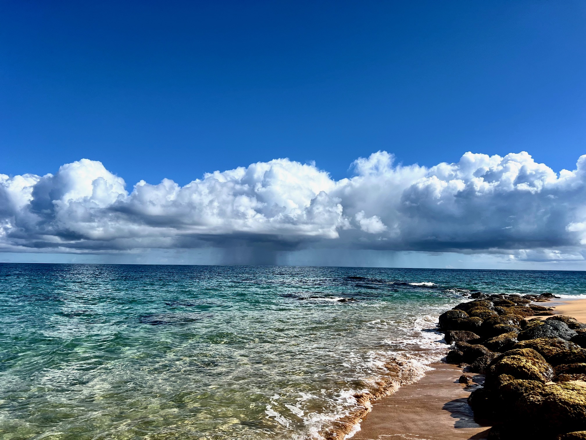 Kauapea beach kauaistyle.com