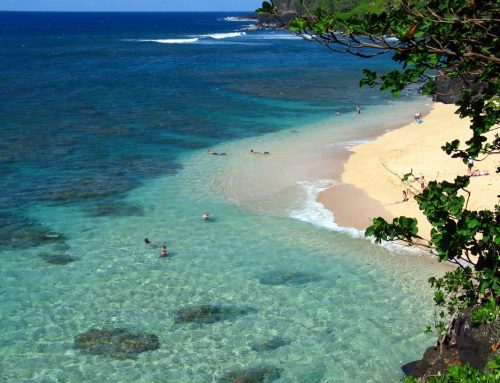 Kauai’s Go-To Guy: Why a Born-and-Raised Local Expert Delivers What No Mainland Company Ever Can